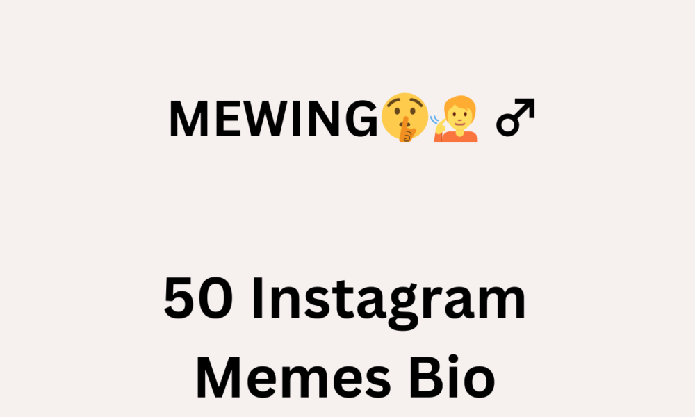 50 Instagram Memes Bio