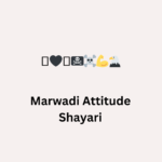 Marwadi Attitude Shayari