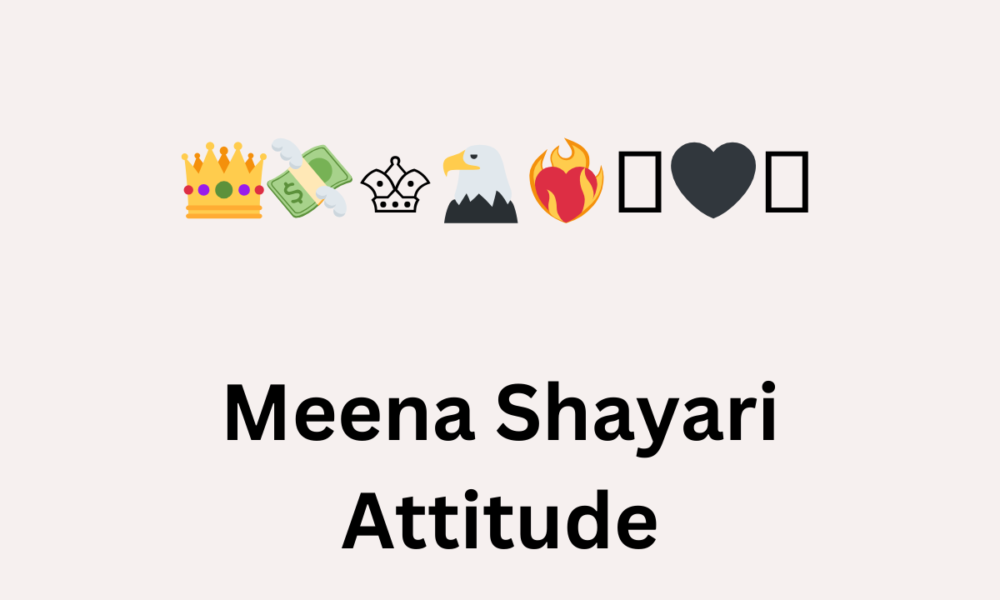 Meena Shayari Attitude