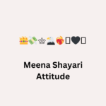 Meena Shayari Attitude