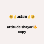 attitude shayari🔥 copy