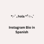 20 Best Instagram Bio in Spanish